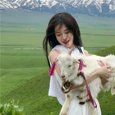 披荆斩棘之双宝大反攻