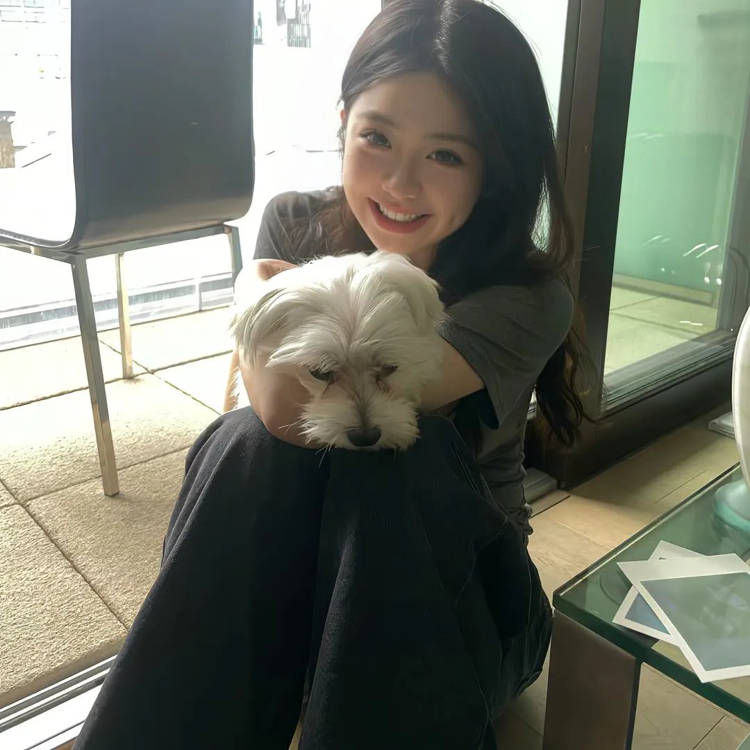 老虎和兔子第二季